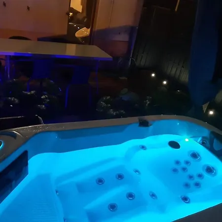 Maison Centre Jacuzzi Jardin Et Climatisation * Colmar