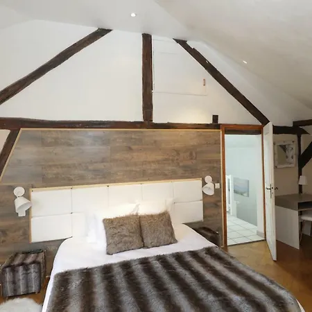 Maison Centre Jacuzzi Jardin Et Climatisation * Colmar