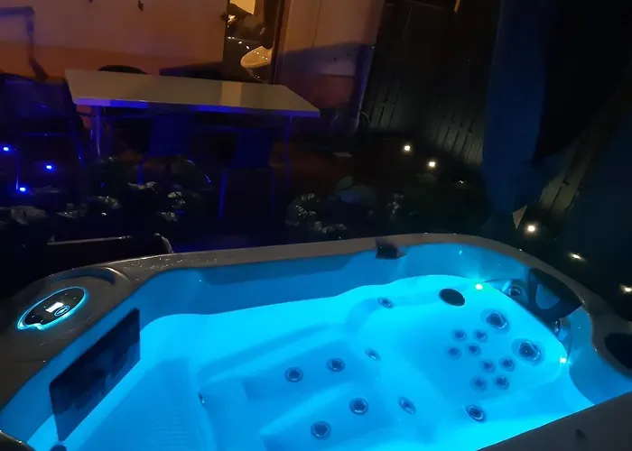 Maison Centre Jacuzzi Jardin Et Climatisation * Colmar