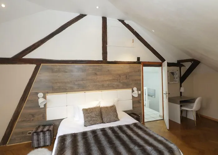 Maison Centre Jacuzzi Jardin Et Climatisation * Colmar