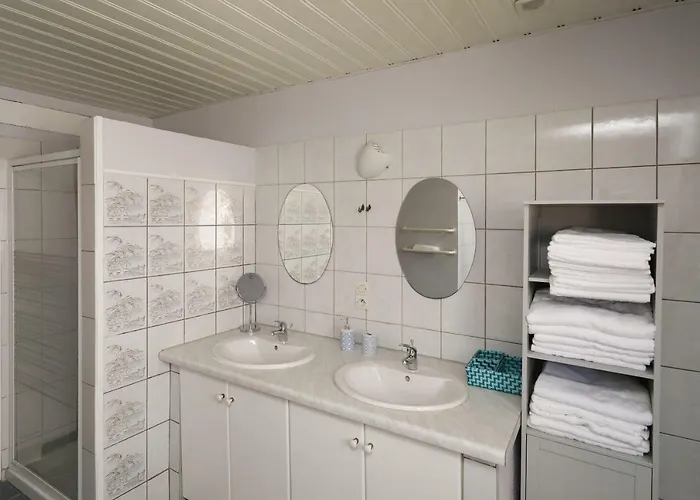 Maison Centre Jacuzzi Jardin Et Climatisation * Colmar